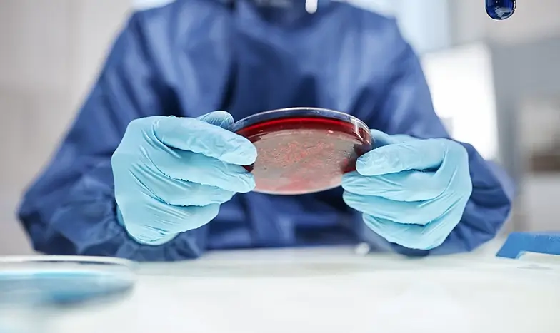 Bio Fabrication