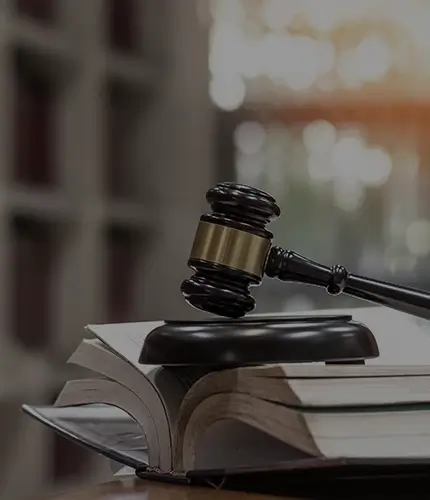 Minors for School of Law