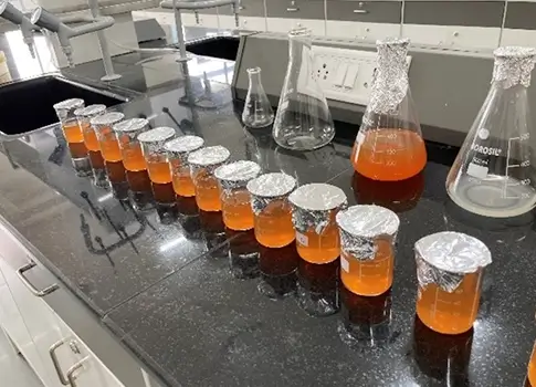 Development of Probiotic RTS drink