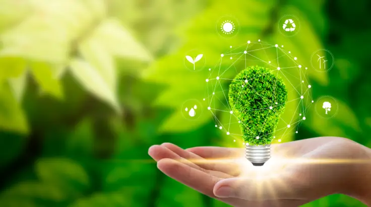 A future perspective on the sustainable and renewable energy sector