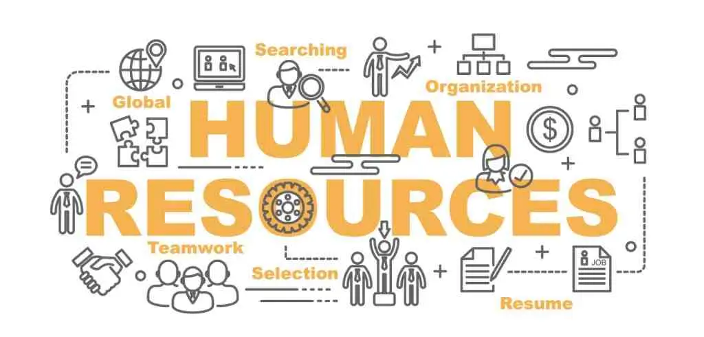 MBA in Human Resource Management: Job Roles and Career Opportunities