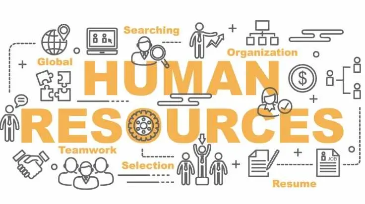 MBA in Human Resource Management: Job Roles and Career Opportunities