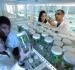 Rev up your career with a B.Tech. in Biotechnology