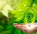 A future perspective on the sustainable and renewable energy sector