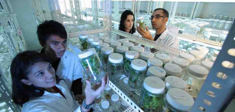 Rev up your career with a B.Tech. in Biotechnology
