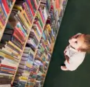 The power of words: How Literature courses cultivate critical thinking skills