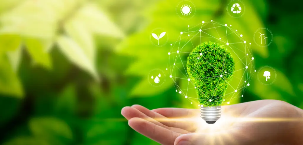 A future perspective on the sustainable and renewable energy sector