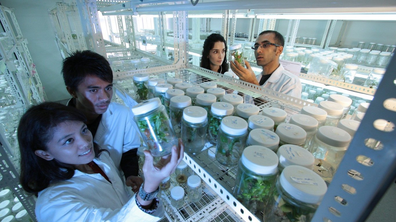 Boost Your Career with an M.Tech. in Computer Science