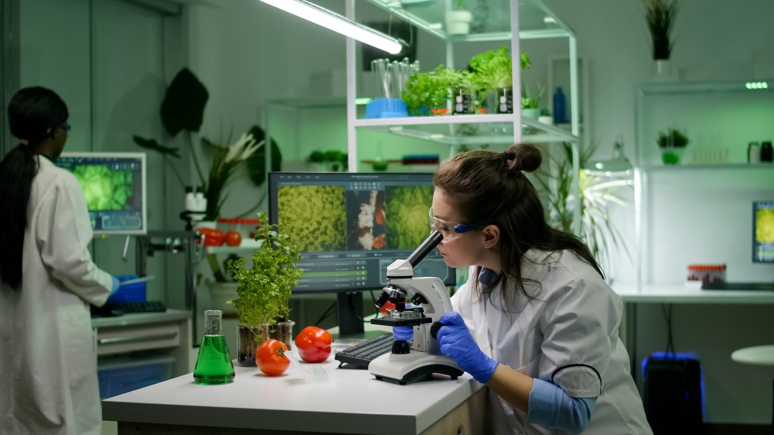 Make a Career in Food Technology