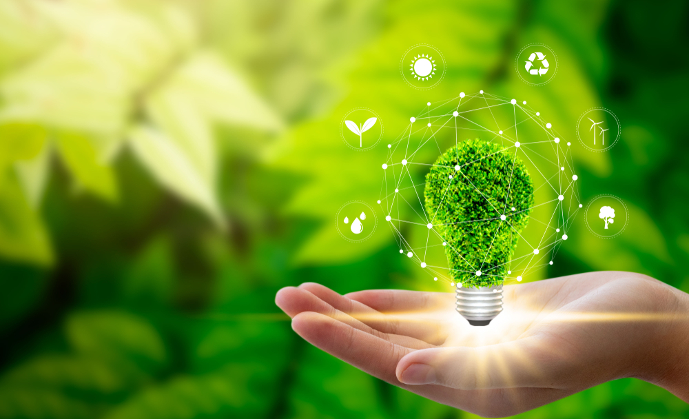 A Future Outlook on Sustainable & Renewable Energy Sector