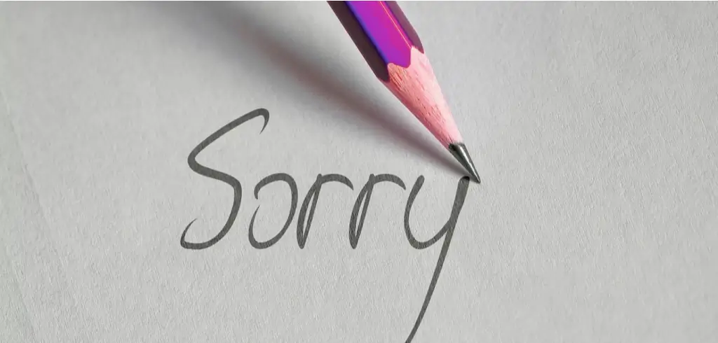 Decoding the economics of apologies