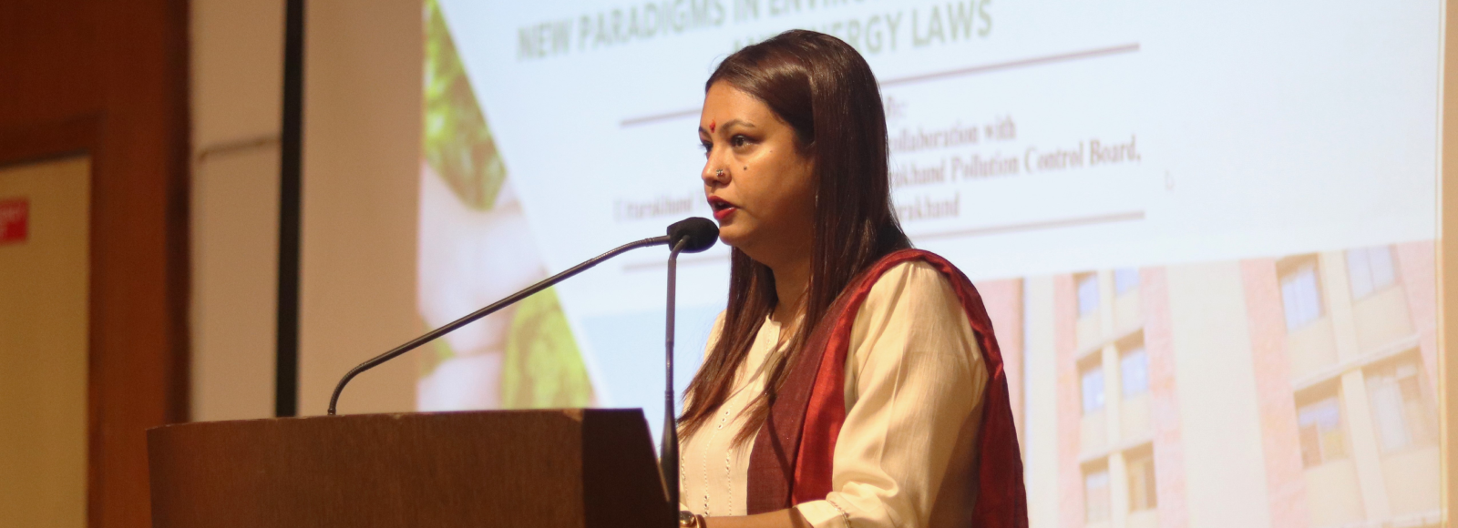 International Conference on New Paradigms of Environmental Sustainability and Energy Laws