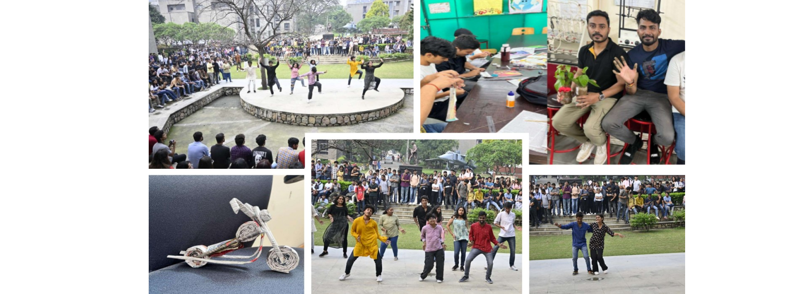 Sustainability Fair