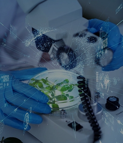 Research and Innovation Units