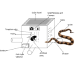 UPES professor’s AI-powered solution for snakebite prevention and antivenom production
