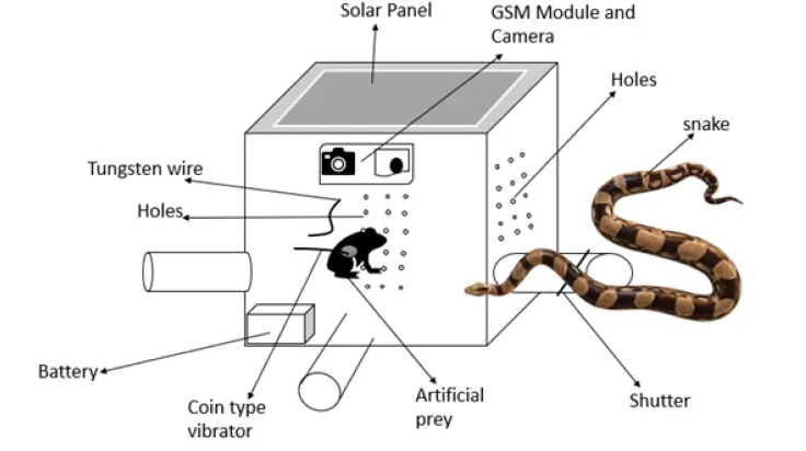 UPES professor’s AI-powered solution for snakebite prevention and antivenom production