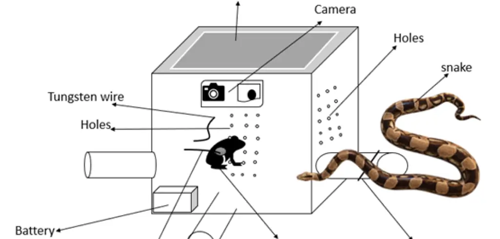 UPES professor’s AI-powered solution for snakebite prevention and antivenom production
