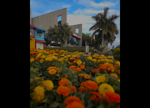UPES Campus