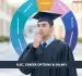 bsc-career-options