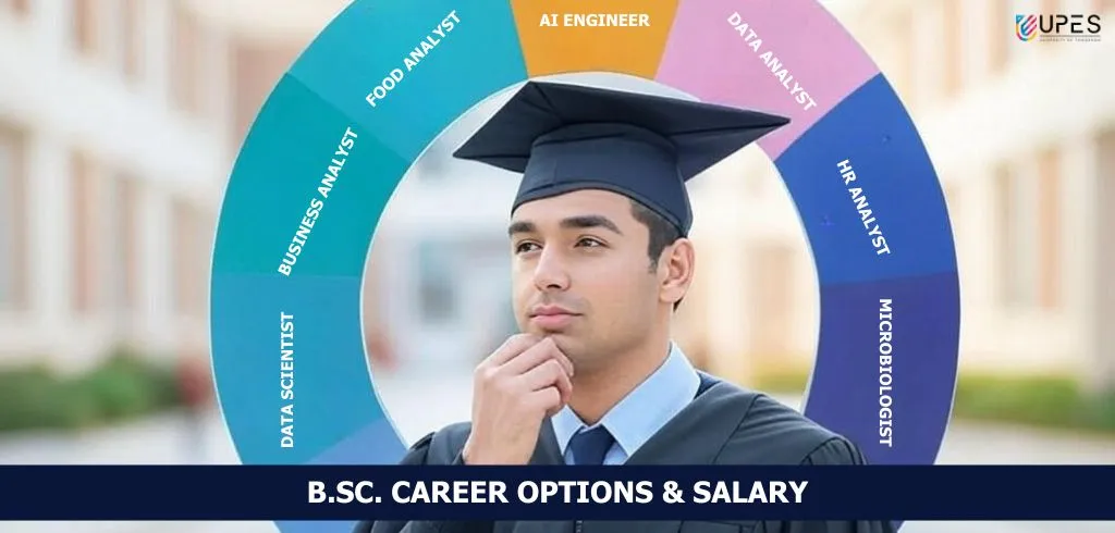 bsc-career-options