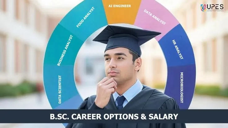 bsc-career-options