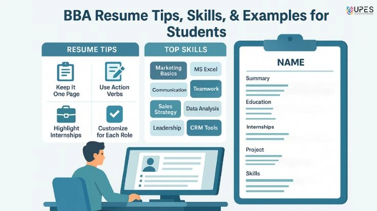 bba resume format and tips